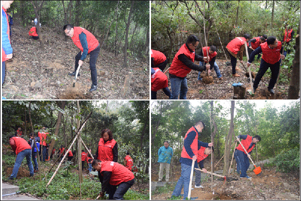 新美裝飾-新美動態(tài)6 (1).png