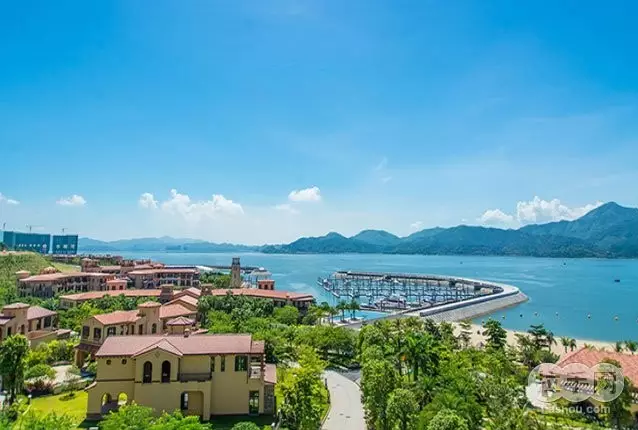 1509616357649040796.png 3.png